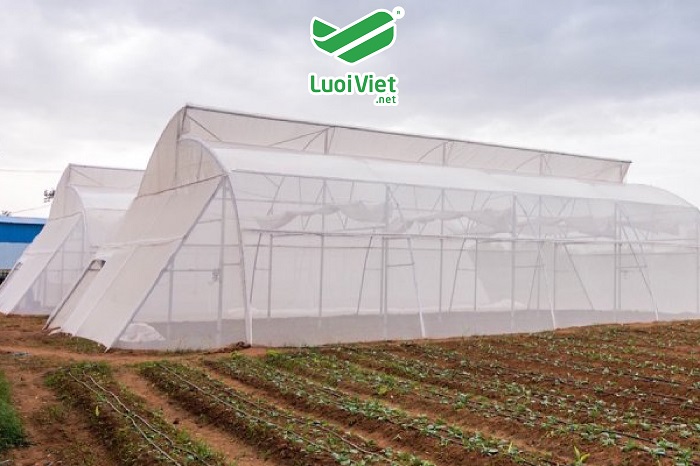 Lưới HDPE – Lưới bảo vệ cây trồng
