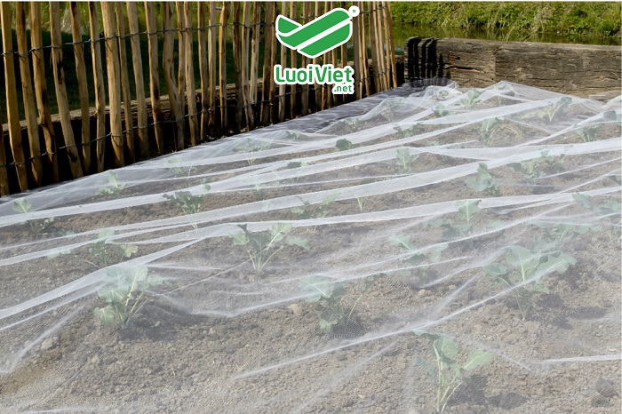 Lưới HDPE – Lưới bảo vệ cây trồng
