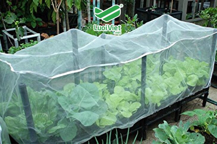 Lưới HDPE – Lưới bảo vệ cây trồng