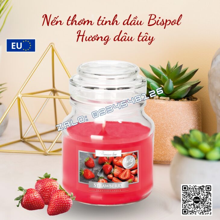 NẾN THƠM TINH DẦU BISPOL 120g, DECOR TRANG TRÍ, THƠM PHÒNG, HỖ TRỢ KHỬ MÙI, NHẬP KHẨU CHÂU ÂU