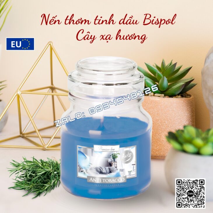 NẾN THƠM TINH DẦU BISPOL 120g, DECOR TRANG TRÍ, THƠM PHÒNG, HỖ TRỢ KHỬ MÙI, NHẬP KHẨU CHÂU ÂU