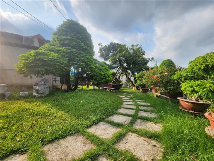 Bán Nhanh 2620m2 Đất Lô Góc Nguyễn Thị Đành Hóc Môn Chỉ 75 Tỷ