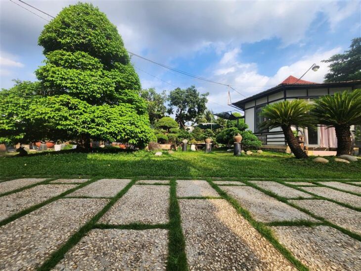 Bán Nhanh 2620m2 Đất Lô Góc Nguyễn Thị Đành Hóc Môn Chỉ 75 Tỷ
