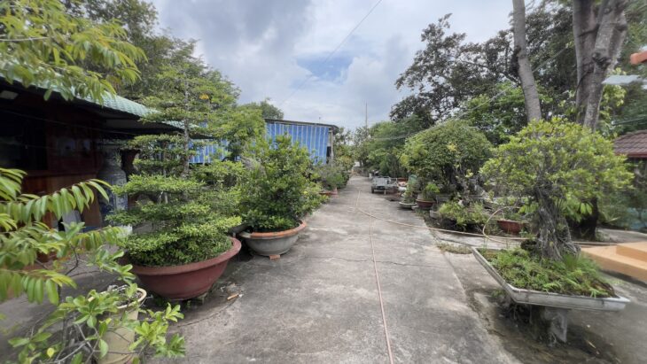 Bán 2537m2 đất thổ cư Lý Thường Kiệt, thị xã LaGi giá ngộp 3.35tr/m2