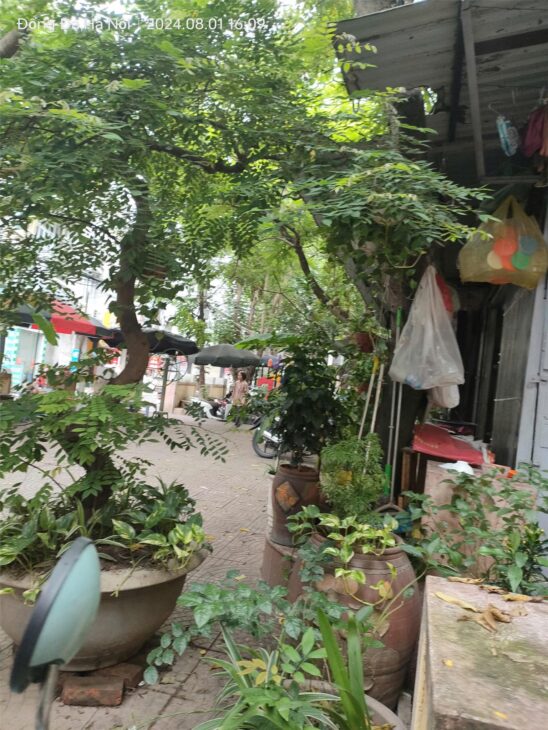 Nhà xưởng sắt hình, tôn lạnh 444m, mặt tiền 14m, 1.75 tỷ Hiệp Hòa, Bắc Giang.