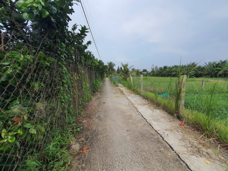 Đất 6x30m ĐH89 vô 50m Giá 3xx triệu