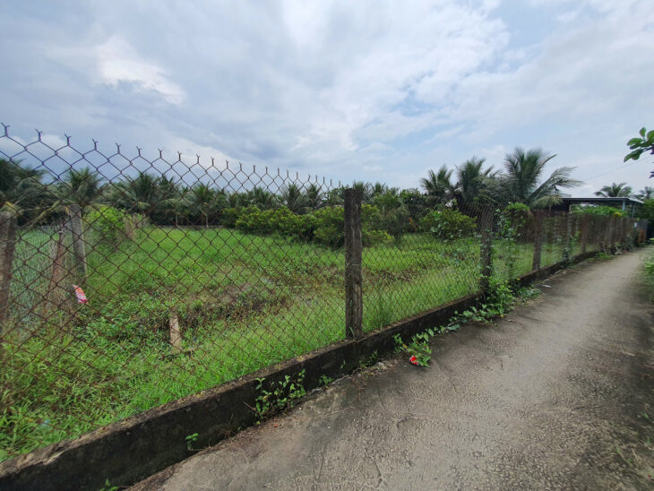 Đất 6x30m ĐH89 vô 50m Giá 3xx triệu