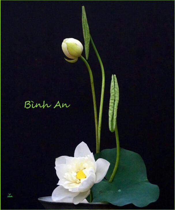 Bán gấp giá rẻ Mai Hương 20m, 4 tầng, mặt tiền 3m, 3 tỷ Hai Bà Trưng.