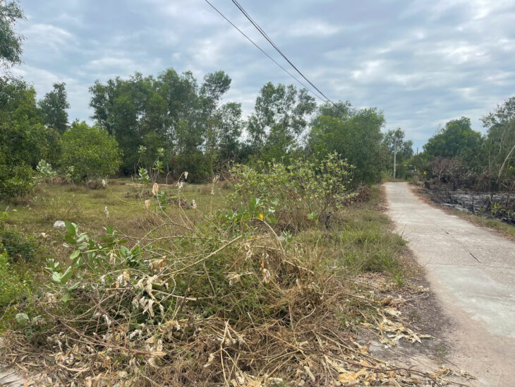 Bán 1912m2 đất ONT Tân Phước – TX LaGi cách Biển 500m chính chủ