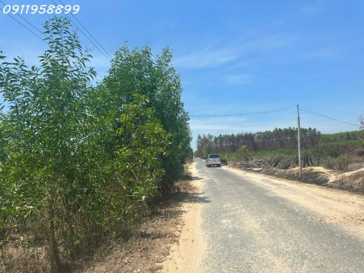 Bán 27 x 47m đất mặt tiền Lý Nam Đế, thị xã LaGi giá ngộp 100tr/m ngang