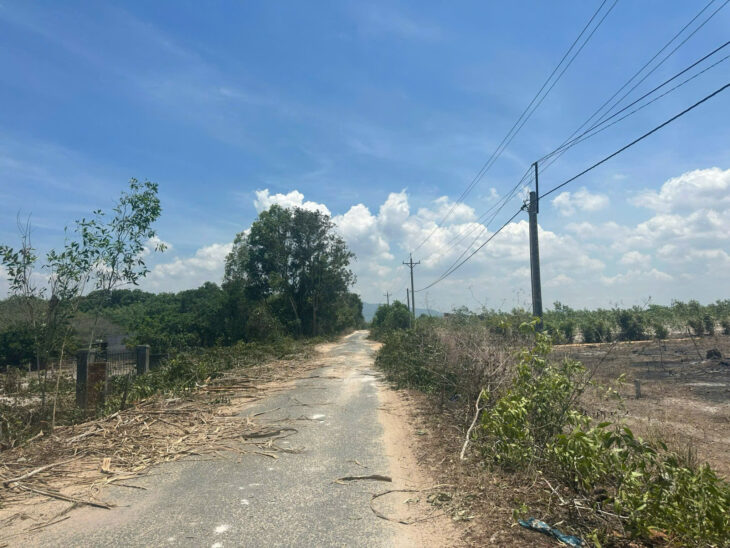 Bán 27 x 47m đất mặt tiền Lý Nam Đế, thị xã LaGi giá ngộp 100tr/m ngang