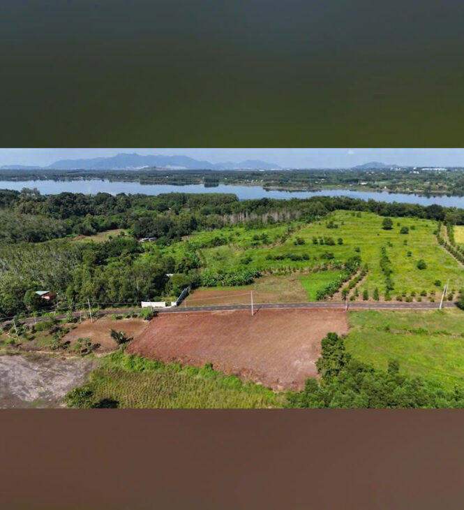 CHÍNH CHỦ CẦN BÁN -188m2 mặt tiền đường nhựa ( 80m2 thổ cư) nở hậu