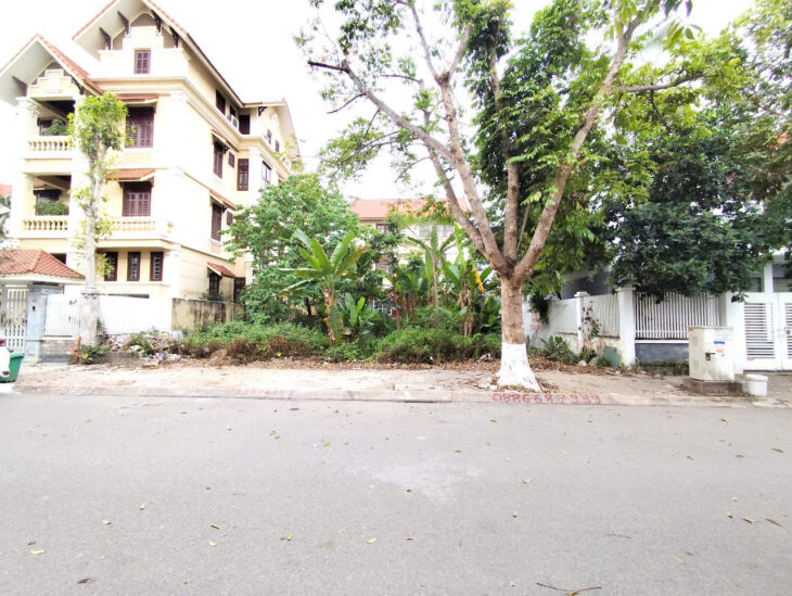 Đất phân lô biệt thự Sao Đỏ – 300m – Giá 40tr/m – gần ngay Cầu Rào