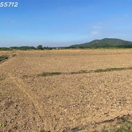 ĐẤT CẦN GIỜ CẦN THANH LÍ GẤP