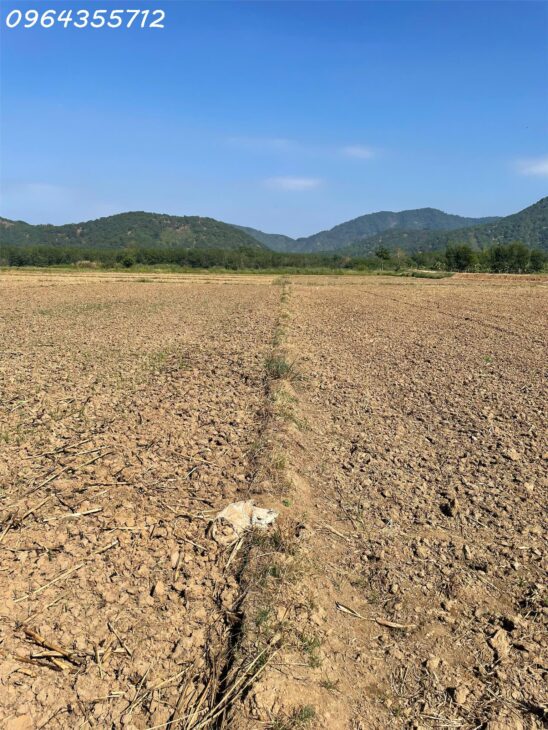 ĐẤT CẦN GIỜ CẦN THANH LÍ GẤP