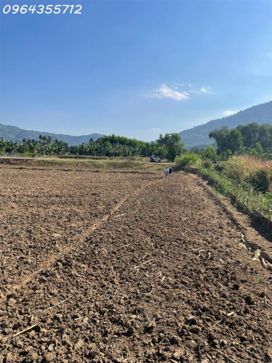 ĐẤT CẦN GIỜ CẦN THANH LÍ GẤP