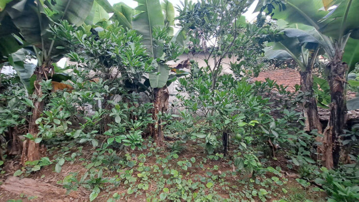 BÁN 150m Đất Hạ Trại ( Thống Nhất ) Long Biên MT 9m , oto ,KD,giá 12,5 ty .