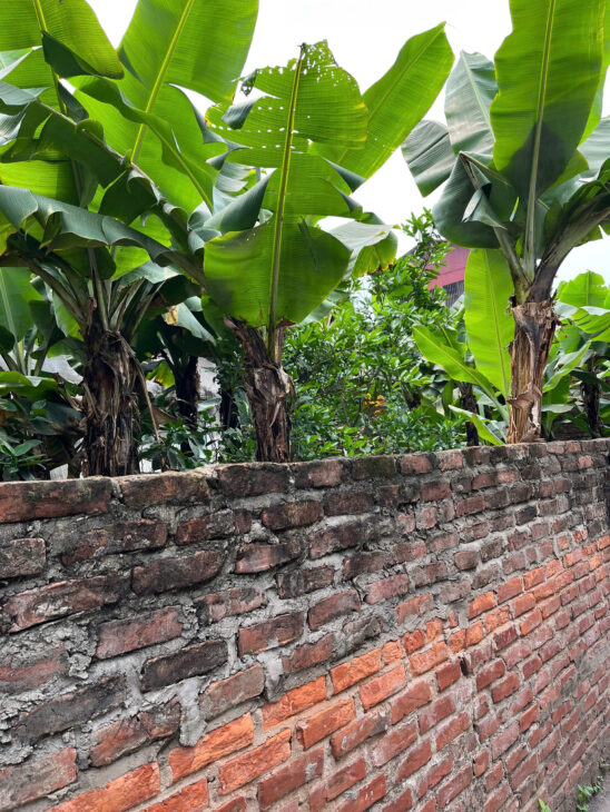 BÁN 150m Đất Hạ Trại ( Thống Nhất ) Long Biên MT 9m , oto ,KD,giá 12,5 ty .