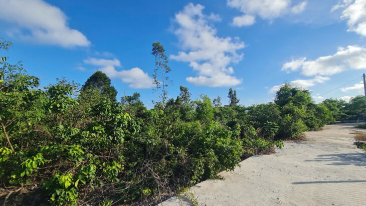 Bán 1507m2 đất thổ cư Tân Phước, thị xã LaGi Gần Biển 577 sổ riêng