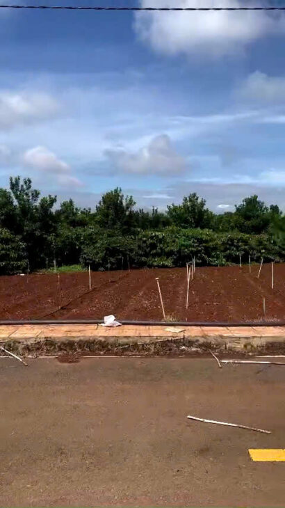 Bán nhanh 3 nền thổ cư hiệp thạnh liên nghĩa Đức Trọng – giá chưa chạm 1 tỷ Bán nhanh 3 nền thổ cư hiệp thạnh liên nghĩa Đức Trọng – giá chưa chạm 1 tỷ