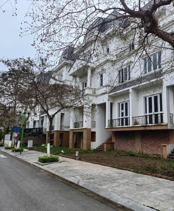 NV LIDECO 250m2- 5T, vị trí đẹp, không gian sáng tạo, 116 triệu/m