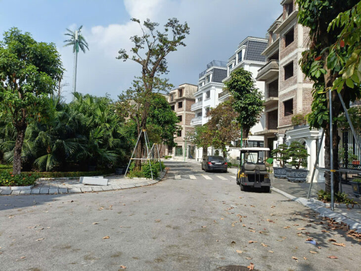 NV LIDECO 250m2- 5T, vị trí đẹp, không gian sáng tạo, 116 triệu/m