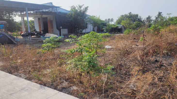 Bán 432m2 đất Thổ cư biển Cam Bình, Tân Phước, Thị xã LaGi giá đầu tư