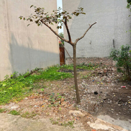 Bán đất tổ 7, Quang Minh, Mê Linh. Gần đường Võ Văn Kiệt và khu công nghiệp