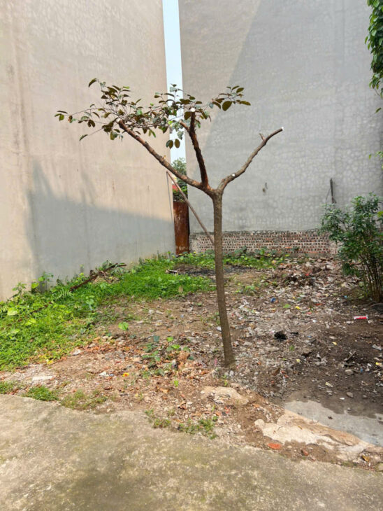 Bán đất tổ 7, Quang Minh, Mê Linh. Gần đường Võ Văn Kiệt và khu công nghiệp