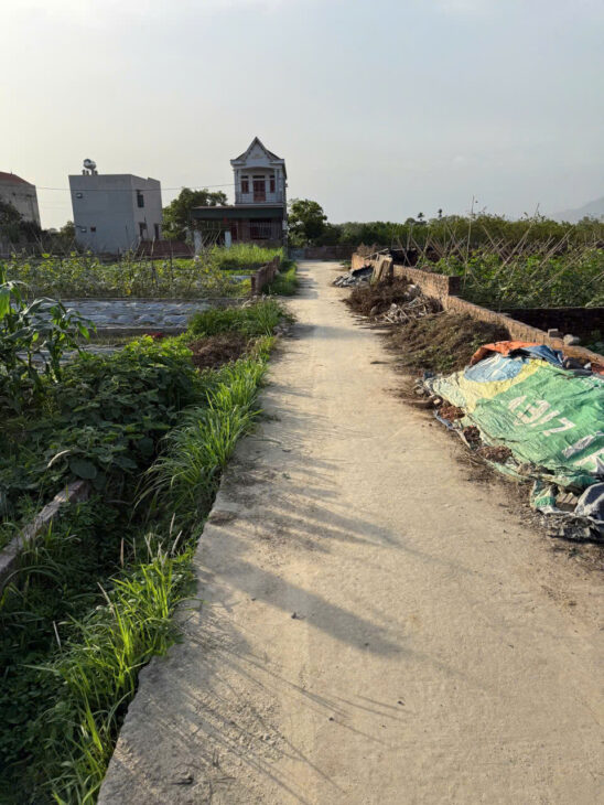 Bán đất thôn Bắc Thượng, Quang Tiến, Sóc Sơn, HN. Gần đường DT 131 và sân bay Nội Bài