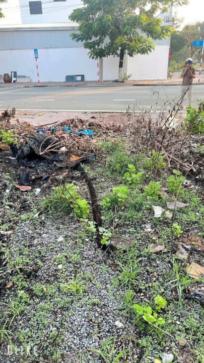 BÁN GẤP ĐẤT BIỆT THỰ KDC CHÂU THỚI- MẶT TIỀN ĐƯỜNG 20M – BÌNH AN, DĨ AN.