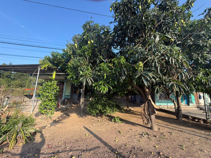 Chủ cần tiền nên bán nhanh Hội Xương suối hiệp Diên Khánh Khánh Hòa Diện tích 649 m có 70m thổ .