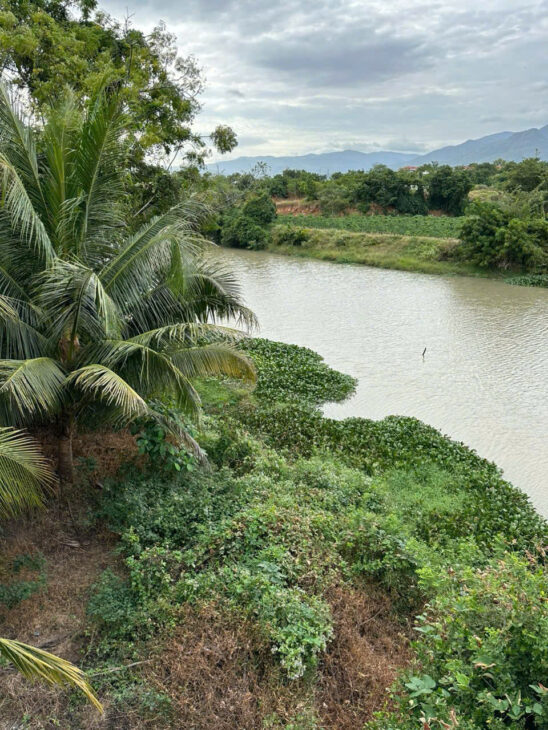 💰 290 TRIỆU – BÁN GẤP 1.776M² ĐẤT NÔNG NGHIỆP – MẶT SÔNG, ĐƯỜNG Ô TÔ ĐẾN ĐẤT 💰 📍 Vị trí: • Đất