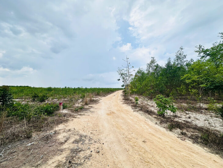 Bán 2256m2 đất Tân Bình – TX LaGi giá rẻ nhất 596tr/ sào sổ riêng