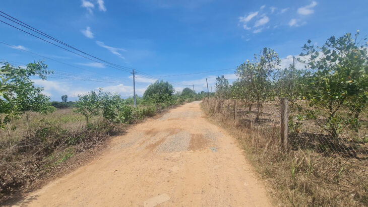 Bán 1.5 hecta mặt tiền Nguyễn Minh Châu, thị xã LaGi giá ngộp 333k/m2