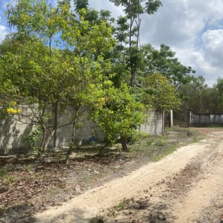 Bán 2282m2 đất Tân Phước – TX LaGi giá ngộp sổ hồng riêng