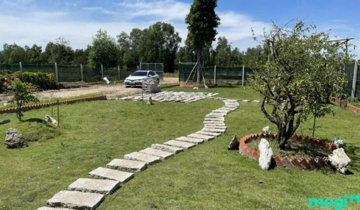 Bán 3.2ha đất vườn sầu riêng 700 cây tại Tân Phú, Đồng Nai, có sẵn nhà vườn