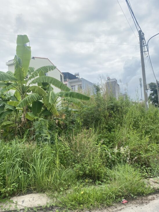 BÁN ĐẤT PHÂN LÔ ĐƯỜNG BƯNG ÔNG THOÀN, PHÚ HỮU – NGANG 5M, 100M2, GIÁ 6.2 TỶ