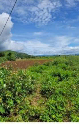 BÁN 2009M2 ĐẤT TỔ 32 THỊ TRẤN LIÊN NGHĨA ĐỨC TRỌNG LÂM ĐỒNG