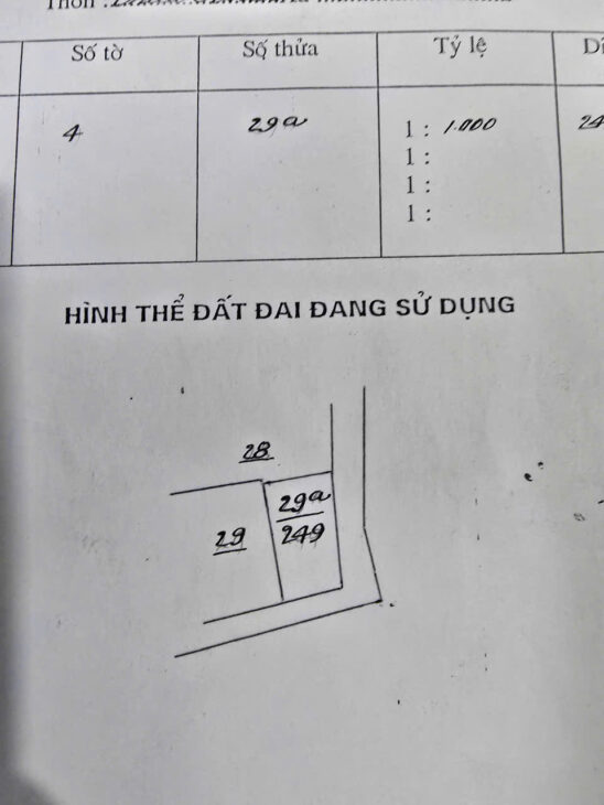 HOA HẬU NÓNG NHẤT XUÂN GIANG DT 80 M FUN TC KHUÔN THỬA ĐẸP VỊ CHÍ ĐẤT SAT CHỢ CÁCH 10 M