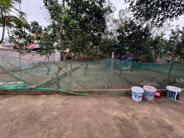 Bán 35m đất tổ 9, Quang Minh, Mê Linh. Gần KCN và trường cao đẳng Y Dược Tuệ Tĩnh