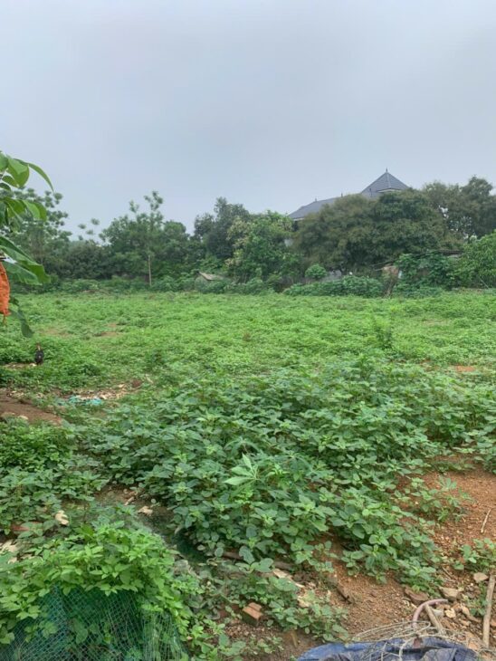 ĐẤT ĐẸP – GIÁ TỐT – Cần Bán Nhanh Lô Đất Tại Đường tỉnh 411C, Xã Phú Sơn, Huyện Ba Vì, Hà Nội