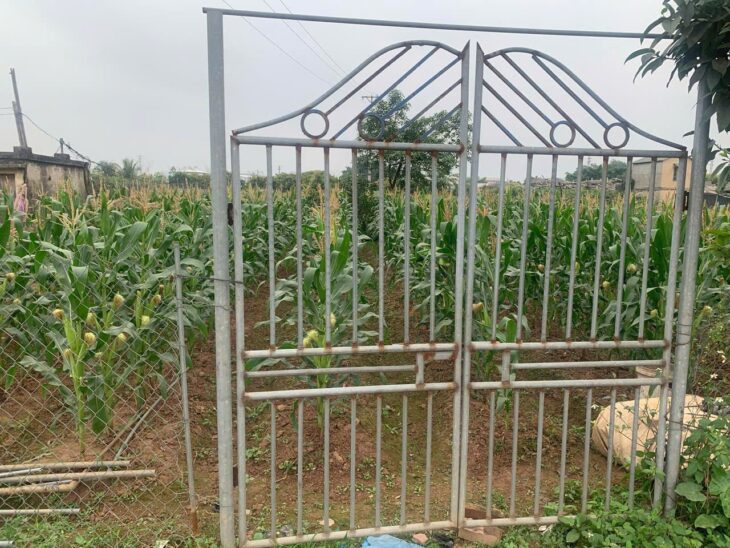 CHÍNH CHỦ Bán Đất Hàng Năm – GIÁ TỐT – Tại Xã Tân Tiến, Huyện Văn Giang, Hưng Yên