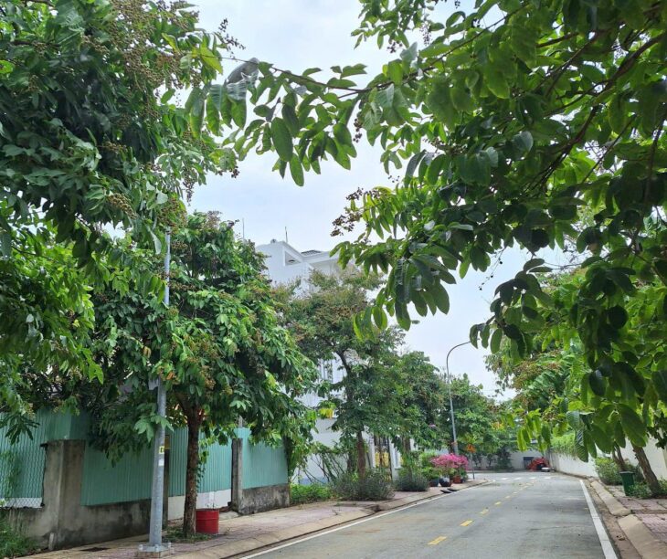 153m đất KDC Bộ Công An, 11.5 tỷ, sổ riêng, xây dựng ngay