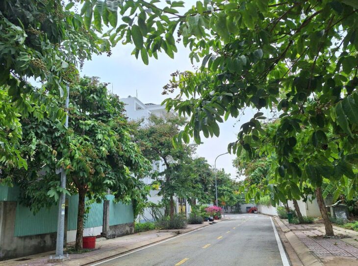 153m đất KDC Bộ Công An, 11.5 tỷ, sổ riêng, xây dựng ngay