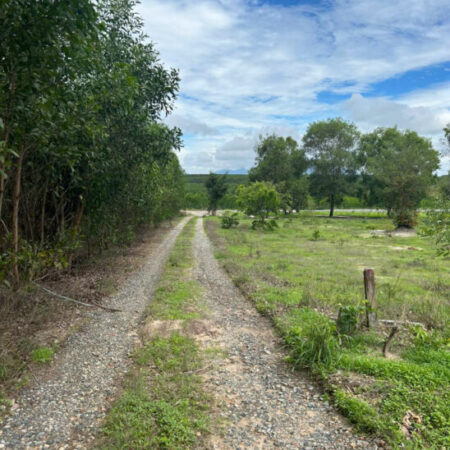 Bán 2000m2 đất Hẻm Cù Chính Lan, Tân Bình, thị xã Lagi giá rẻ 750tr/ sào