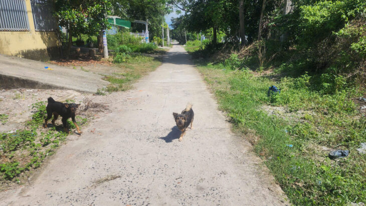 Bán 197m2 đất thổ cư Tân An, thị xã LaGi giá siêu rẻ 850 triệu sổ riêng