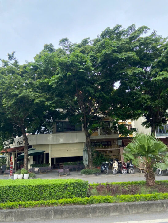 Siêu phẩm View hồ Trần Duy Hưng, ô tô vào Nhà 3 tầng, 125m², mặt tiền 8,2m- 40 tỷ