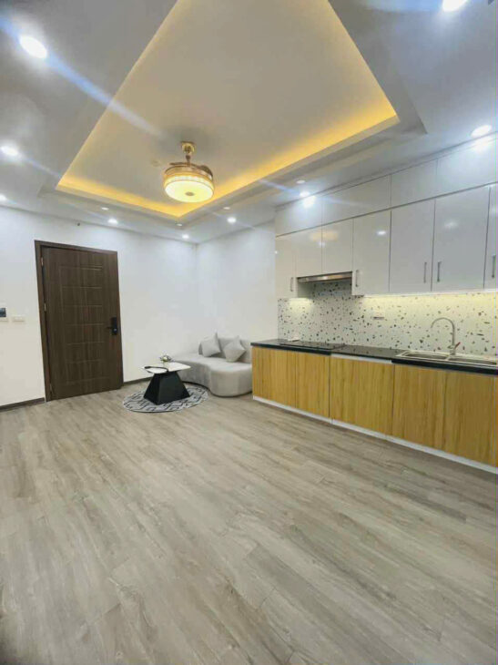 Bán căn hộ 2 ngủ chỉ 2.0x tỷ ở Linh Đàm, Phường Hoàng Liệt, quận Hoàng Mai