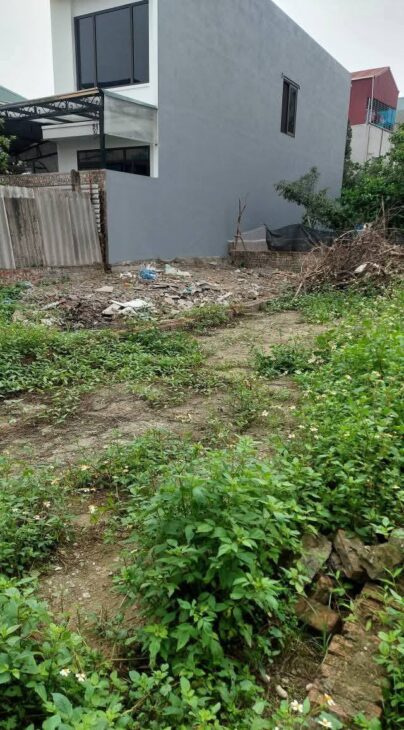 Rẻ và đẹp như này không mua thì mua ở đâu đất vạn 3 124m giá cho ae đầu tư khu vực đân cư than